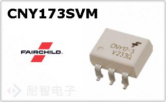 CNY173SVM
