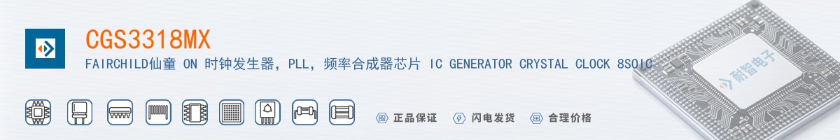 CGS3318MX������