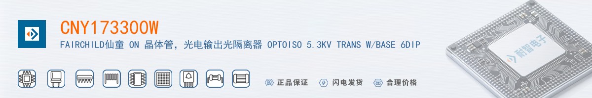 CNY173300W������