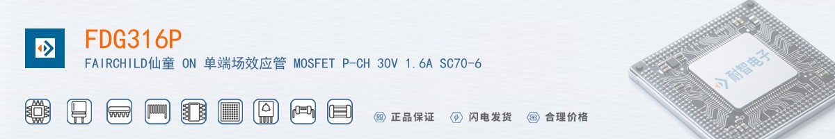 FDG316P������