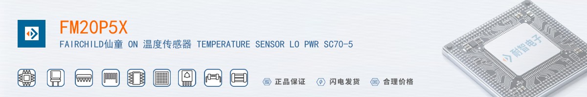 FM20P5X������