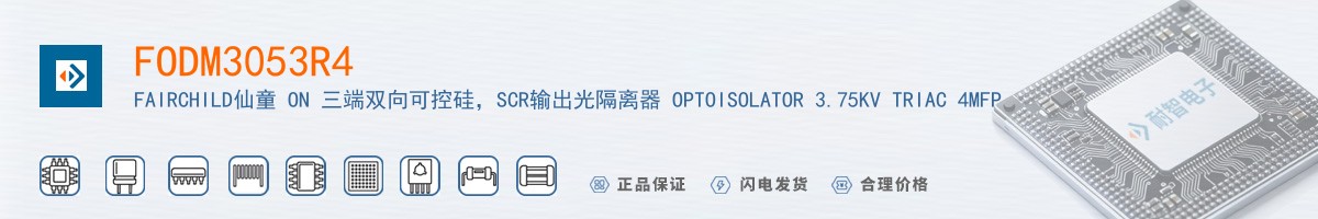 FODM3053R4������