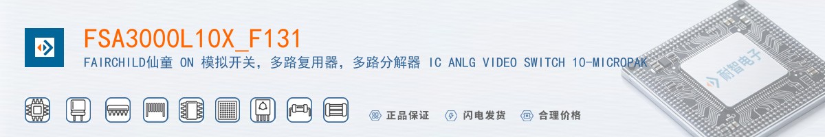 FSA3000L10X_F131������