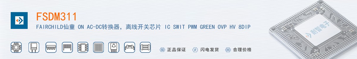 FSDM311������