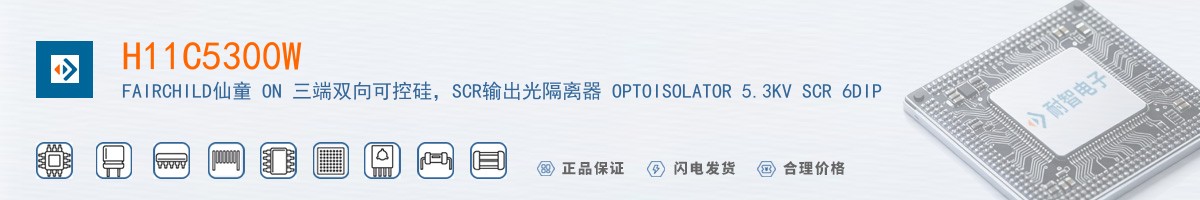 H11C5300W������