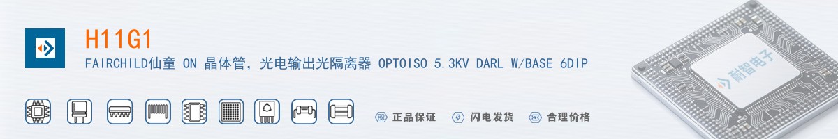 H11G1������