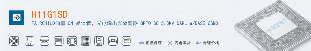 H11G1SD������