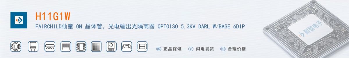 H11G1W������