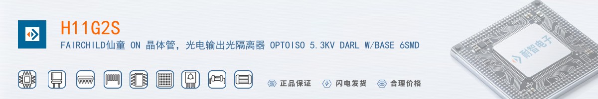 H11G2S������