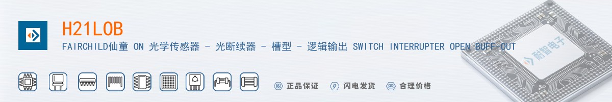 H21LOB������