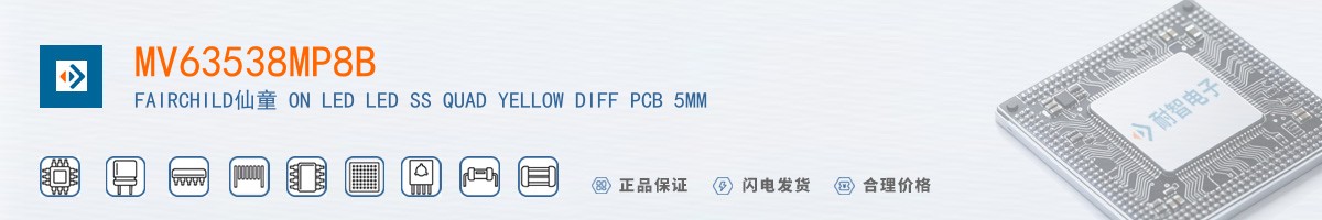 MV63538MP8B������