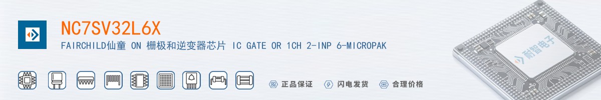 NC7SV32L6X������