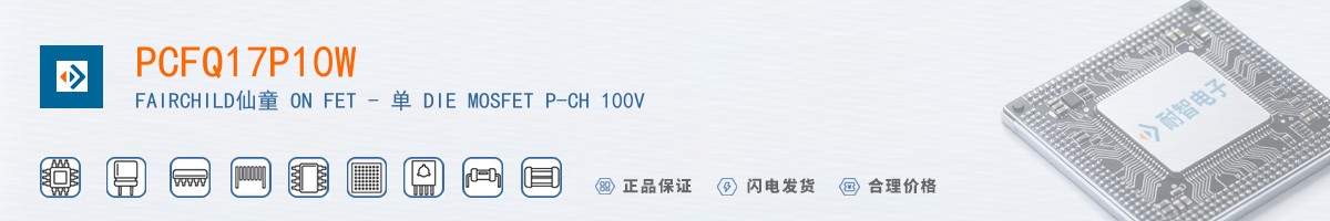 PCFQ17P10W������
