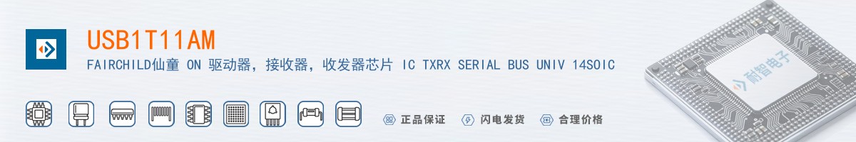 USB1T11AM������